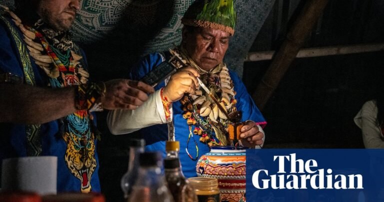 Amazon Indigenous peoples can benefit from ‘ayahuasca tourism’ | Indigenous peoples Amazon Indigenous peoples can benefit from ‘ayahuasca tourism’ | Indigenous peoples