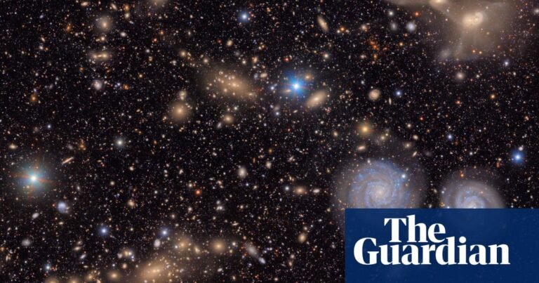 Can a revolutionary new telescope solve the mystery of planet nine? – podcast | Science