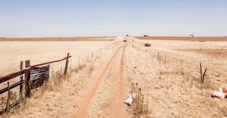 Extreme Violence Without Genocide - The Atlantic