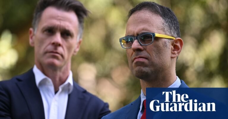 NSW budget unlikely to allocate extra funding for long-promised great koala national park | New South Wales politics