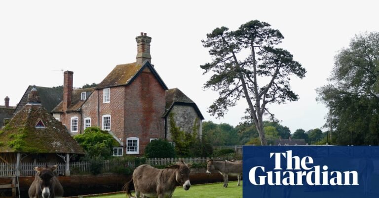 ‘They had a feast’: New Forest donkeys spark backlash after raiding new food waste bins | Hampshire ‘They had a feast’: New Forest donkeys spark backlash after raiding new food waste bins | Hampshire