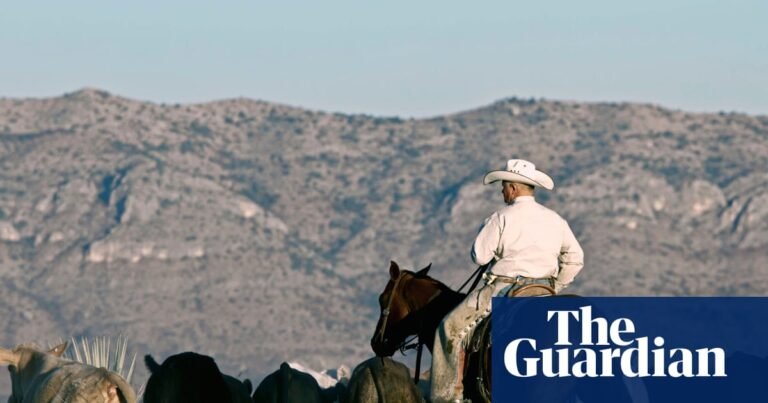 Australia lifts ban on US beef but denies decision was made to appease Trump | Australian foreign policy Australia lifts ban on US beef but denies decision was made to appease Trump | Australian foreign policy