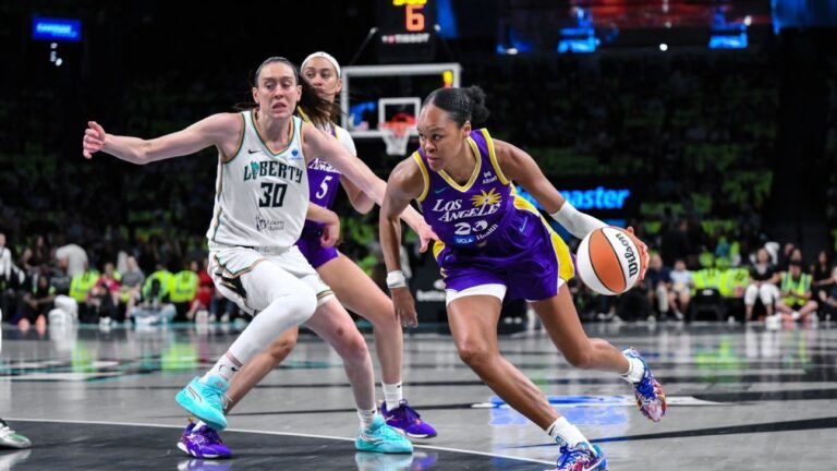 Breanna Stewart exits Liberty loss early with lower leg injury Breanna Stewart exits Liberty loss early with lower leg injury