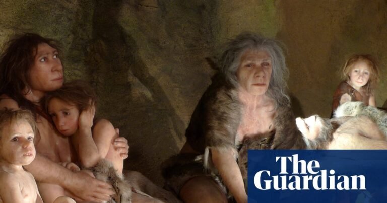Even Neanderthals had distinct preferences when it came to making dinner, study suggests | Neanderthals Even Neanderthals had distinct preferences when it came to making dinner, study suggests | Neanderthals