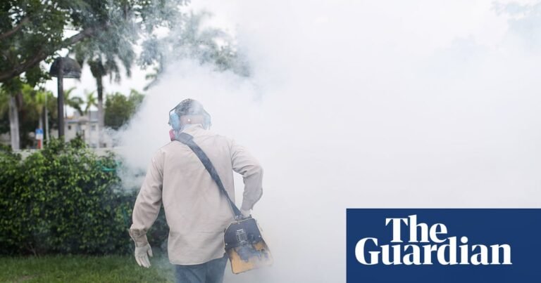 Exposure to a mix of pesticides raises risk of pregnancy complications, study suggests | Pesticides Exposure to a mix of pesticides raises risk of pregnancy complications, study suggests | Pesticides