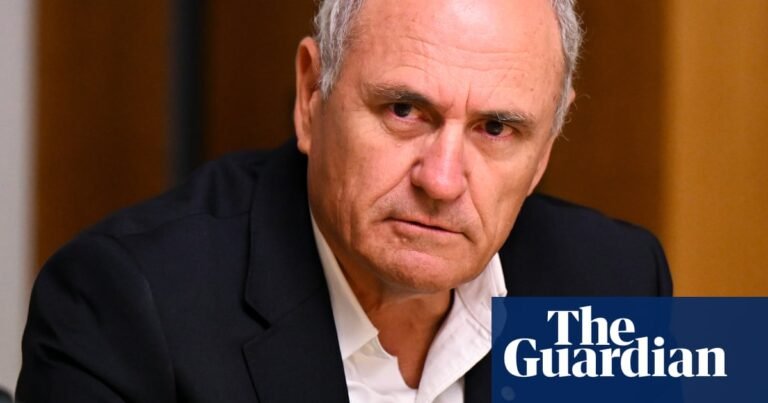 Fixing Australia’s broken environment laws hold key to productivity, ex-treasury head says | Australian politics