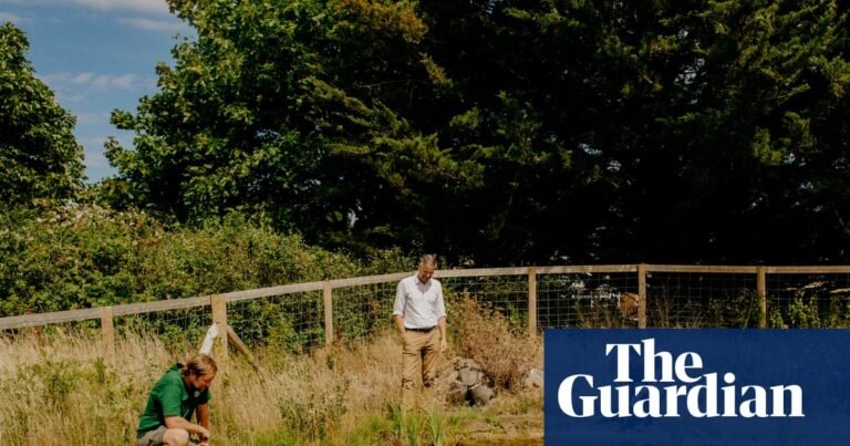 Green mission aims to raise £1bn to bring nature into UK towns and cities | Conservation Green mission aims to raise £1bn to bring nature into UK towns and cities | Conservation