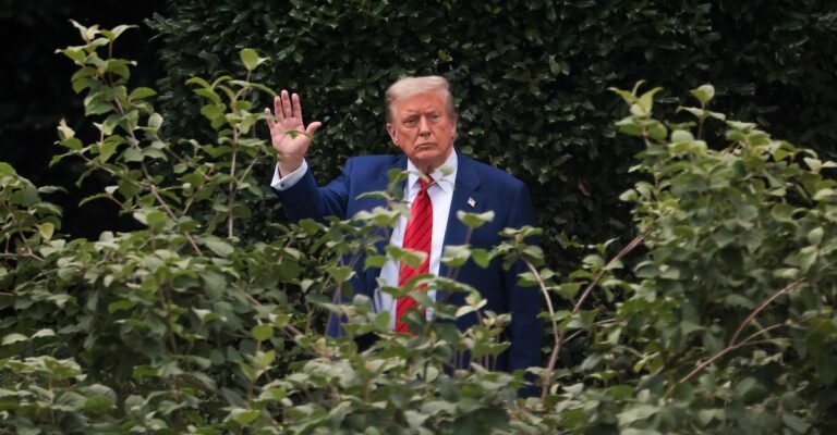 How I Came to Be in the Epstein Files How I Came to Be in the Epstein Files