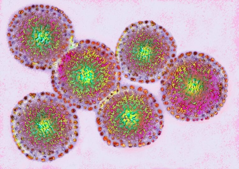 How Influenza Reassortment May Make Bird Flu More Dangerous How Influenza Reassortment May Make Bird Flu More Dangerous
