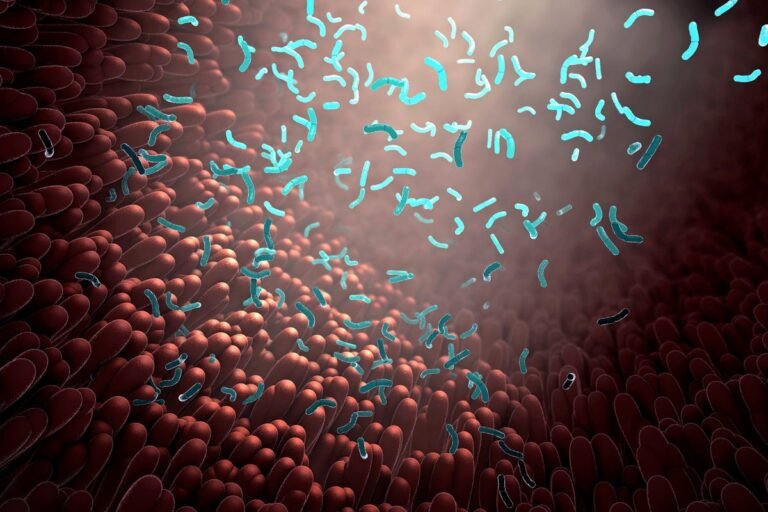 Human Gut Bacteria Can Gather Up PFAS ‘Forever Chemicals’