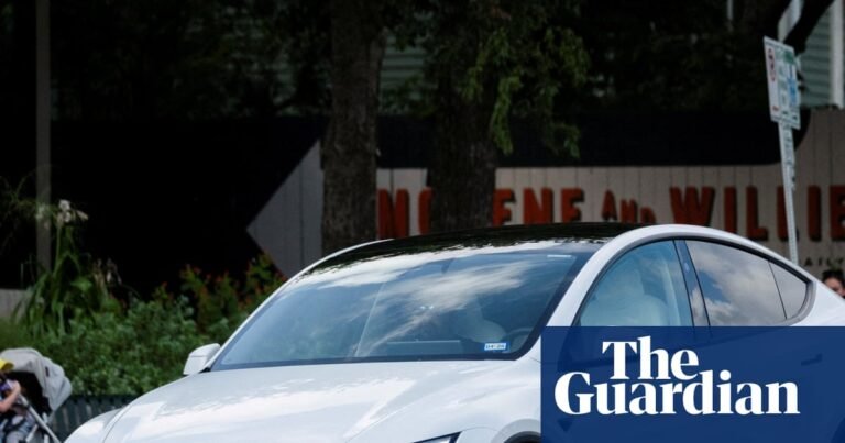 Musk hails $16.5bn Samsung deal to supply Tesla with AI chips | Tesla