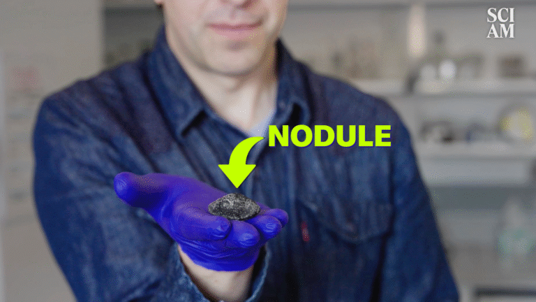 Polymetallic Nodules, a Source of Rare Metals, May Hold the Secrets of ‘Dark Oxygen’