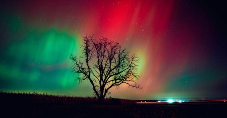 Preamble to the West