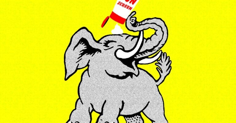 Should You Sunscreen Your Cat?