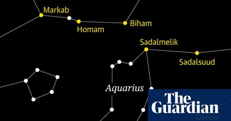 Starwatch: look out for the Delta Aquariids meteor shower | Meteors