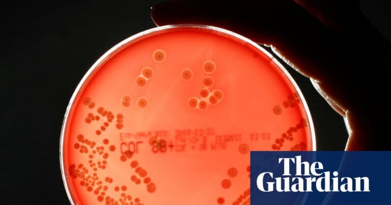 Superbugs could kill millions more and cost $2tn a year by 2050, models show | Antibiotics Superbugs could kill millions more and cost $2tn a year by 2050, models show | Antibiotics