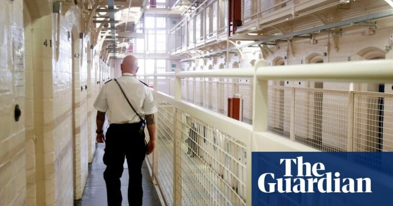 Tech firms suggested placing trackers under offenders’ skin at meeting with justice secretary | Prisons and probation