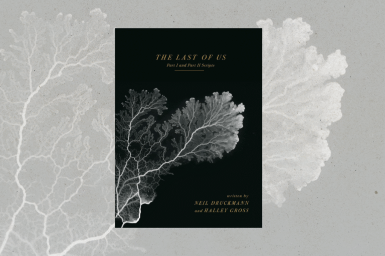 The Last of Us book on gray background
