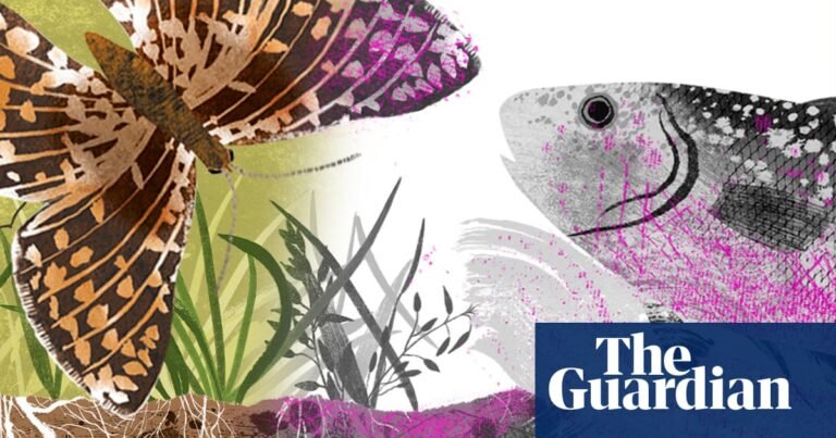 The life of microplastic: how fragments move through plants, insects, animals – and you | Plastics