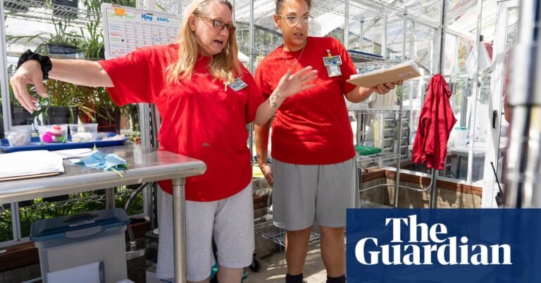 These women are raising endangered butterfly larvae from prison: ‘They reconnect with their own brilliance’ | Butterflies