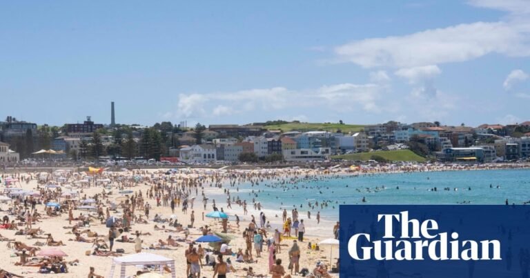 Trial to remove shark nets from three Sydney and Central Coast beaches a good first step, scientists say | Sharks