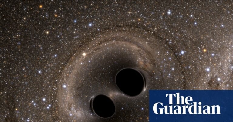 Two black holes collide, lab-grown organs, world’s first climate visa – podcast | Science