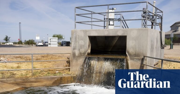 US wetlands ‘restored’ using treated sewage tainted with forever chemicals | Pfas