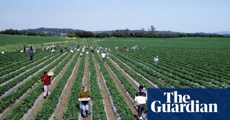 White House rescinds $20m for clean water in pesticide-contaminated rural California | California White House rescinds $20m for clean water in pesticide-contaminated rural California | California