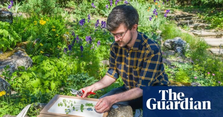 ‘Best job in the natural world’: seed collector enlisted as modern-day Darwin to document the world’s plants | Plants