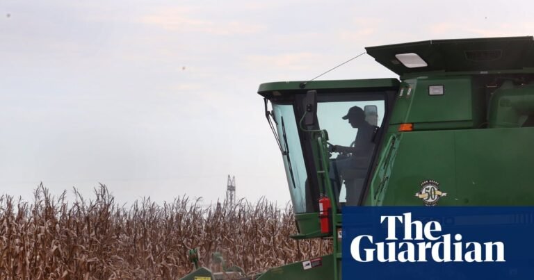‘Disgraceful step backward’: USDA ends support for Black farmers, saying it ‘sufficiently’ handled discrimination | Black farmers