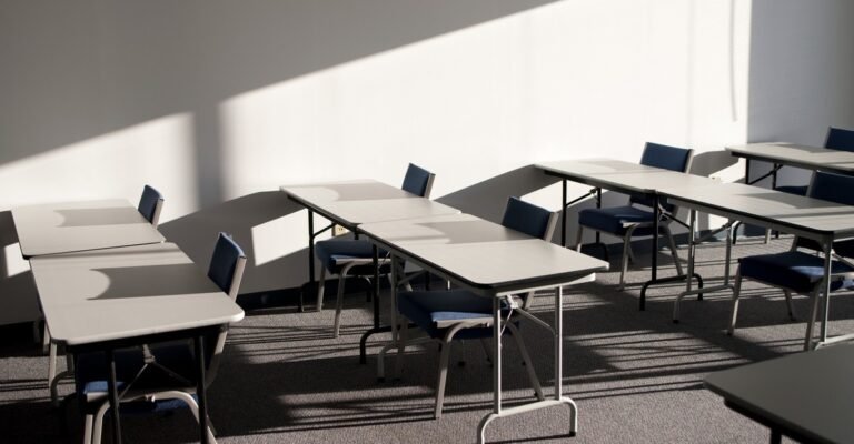 A Novel That Skewers Meritocracy