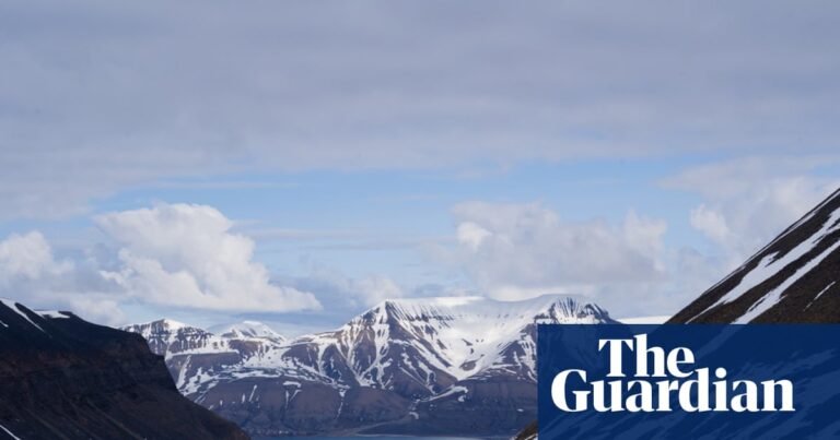 Arctic glaciers face ‘terminal’ decline as microbes accelerate ice melt | Arctic