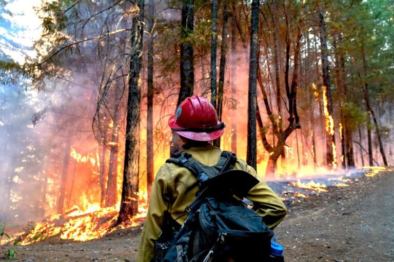 As Fire Season Ramps Up, Thousands of U.S. Firefighting Positions Are Vacant