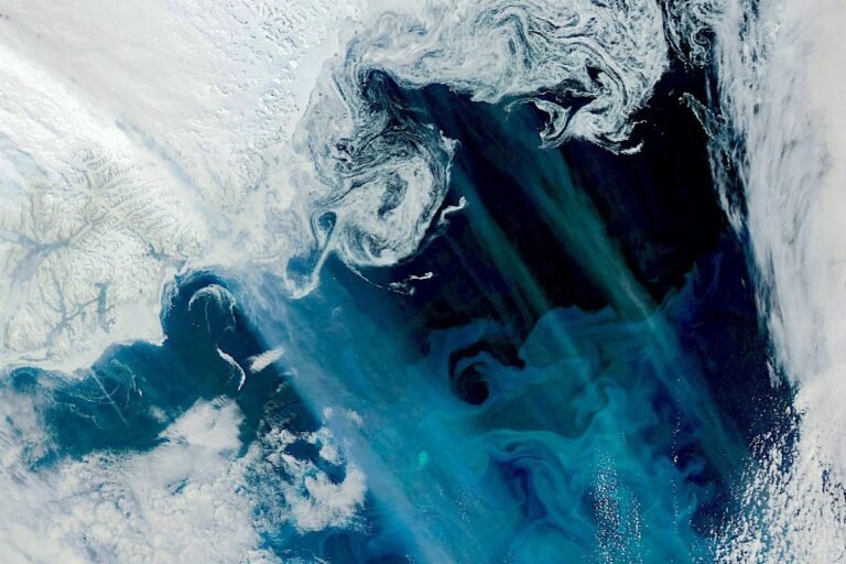 As Greenland Melts, Sea Life Blooms
