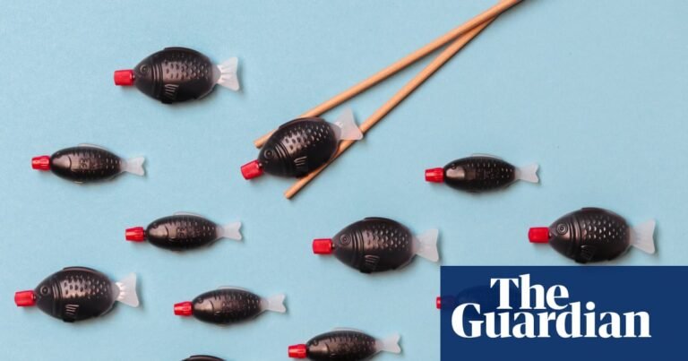Australian ban on fish-shaped plastic soy sauce dispensers a world first | South Australia Australian ban on fish-shaped plastic soy sauce dispensers a world first | South Australia