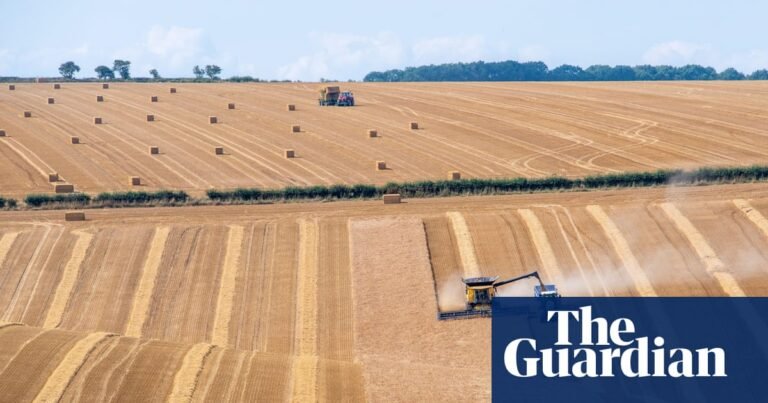 Biochar from human waste could solve global fertiliser shortages, study finds | Agriculture