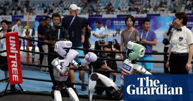 Box, run, crash: China’s humanoid robot games show advances and limitations | China