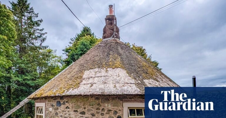 Country Diary: A rare sighting around the Highlands – a thatched roof | Rural affairs