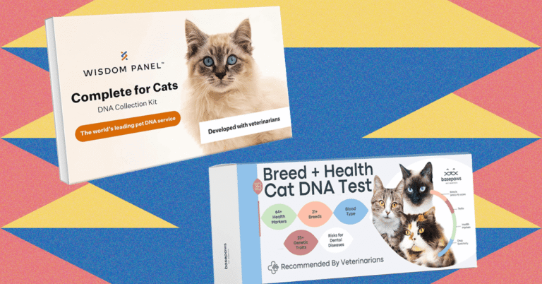 I Tried the Best At-Home Pet DNA Test Kits on My Two Cats (2025) I Tried the Best At-Home Pet DNA Test Kits on My Two Cats (2025)