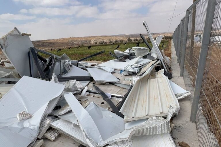 Israeli Forces Allegedly Bulldoze Palestinian Seed Bank Israeli Forces Allegedly Bulldoze Palestinian Seed Bank
