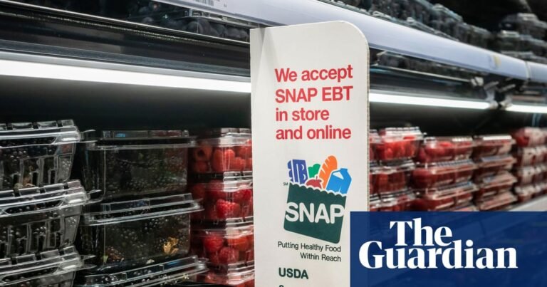 Low-wage workers reeling over Trump’s looming Snap cuts as food prices rise | US domestic policy