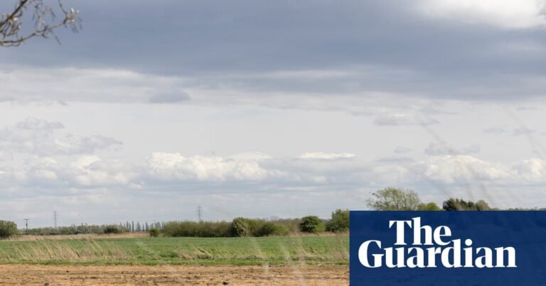 Nature loss will cut UK GDP by 5% without action from private sector, say experts | Conservation Nature loss will cut UK GDP by 5% without action from private sector, say experts | Conservation