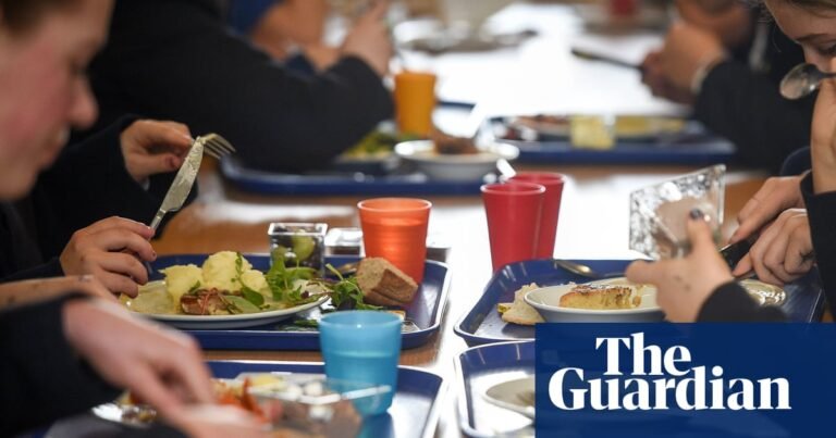 Parents in England to pay more for school lunches as caterers blame rising costs | School meals Parents in England to pay more for school lunches as caterers blame rising costs | School meals