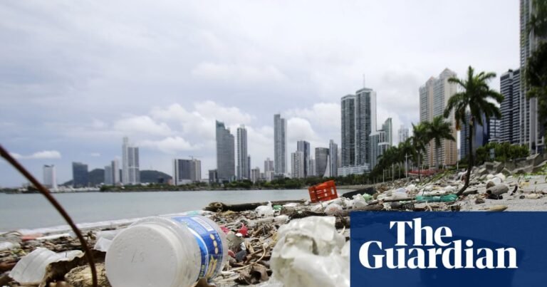 Plastic pollution talks fail as negotiators in Geneva reject draft treaties | Plastics Plastic pollution talks fail as negotiators in Geneva reject draft treaties | Plastics