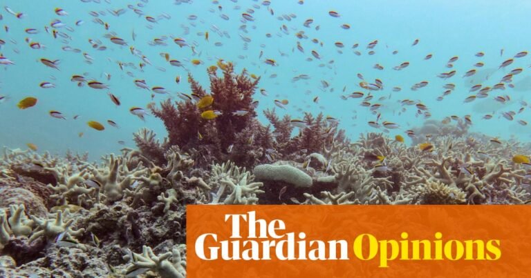 Pretty bloomin’ what? The Great Barrier Reef is a picture of health, The Australian assures us | Tory Shepherd