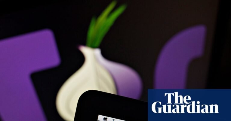 Privacy at a cost: the dark web’s main browser helps pedophile networks flourish, experts say | Technology