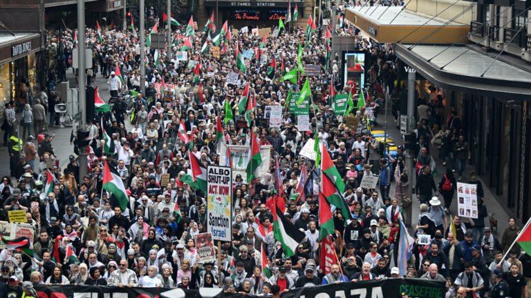 Pro-Palestine protesters rally in cities across Australia | Protests Pro-Palestine protesters rally in cities across Australia | Protests