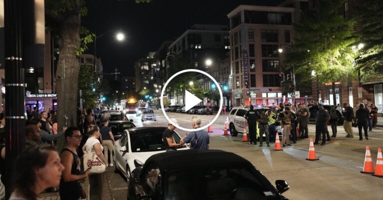 Protest Breaks Out at Police Checkpoint in D.C.