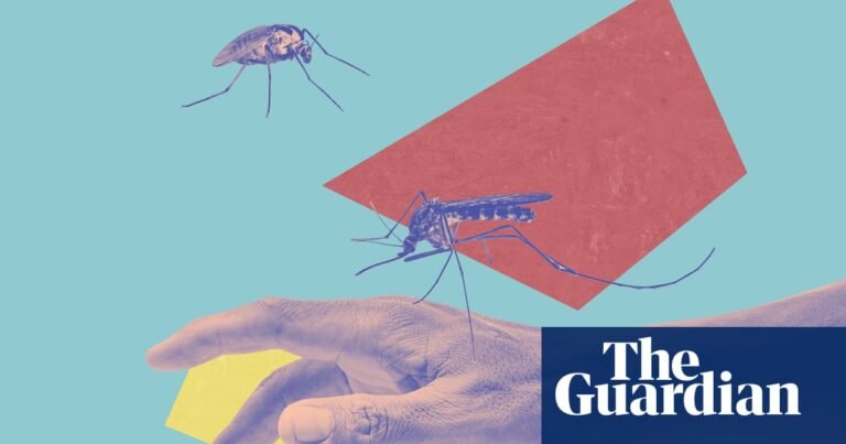Sweat, stingers and scratching: 14 expert, easy ways to treat and prevent insect bites | Life and style Sweat, stingers and scratching: 14 expert, easy ways to treat and prevent insect bites | Life and style