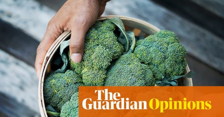 The Guardian view on food and farming: climate chaos hits crops hard – and that should worry everyone | Editorial The Guardian view on food and farming: climate chaos hits crops hard – and that should worry everyone | Editorial